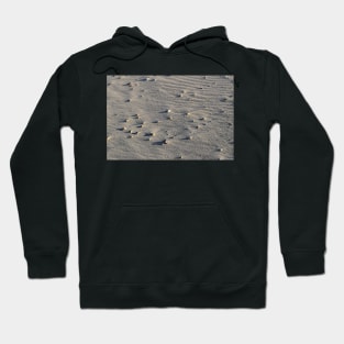 Pebbles and Sand Hoodie